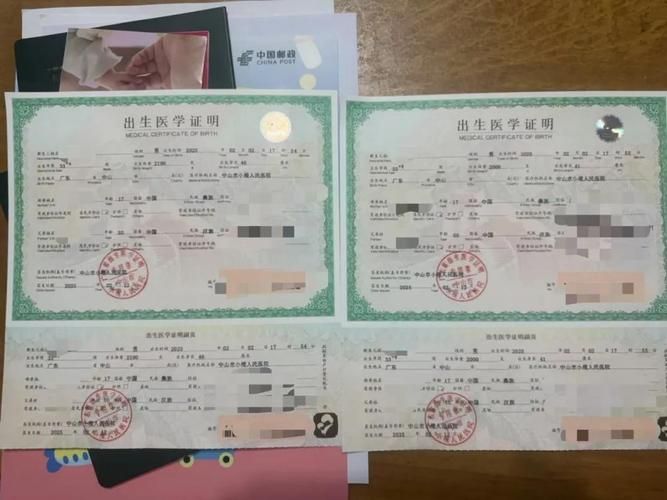 如何在线查询出生证明下载地址？详细步骤解析