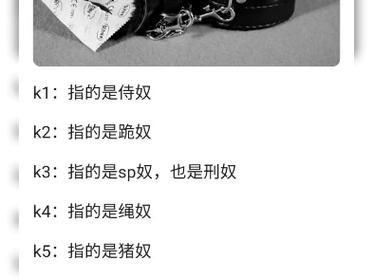 如何快速上手奴隶训练最新版本攻略