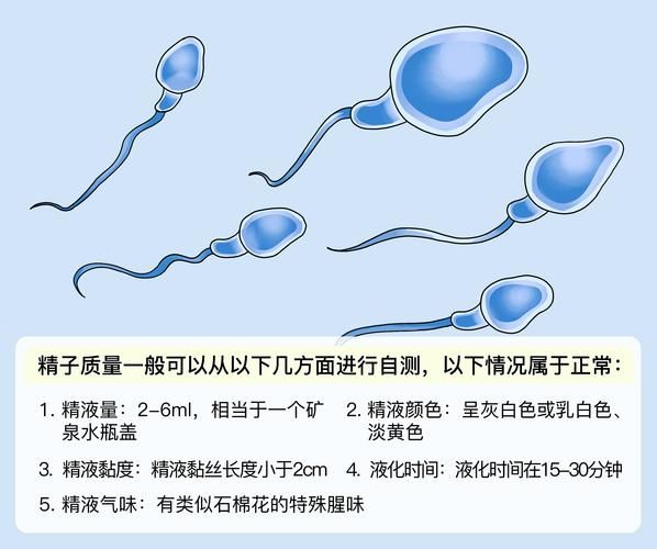 如何快速找到测量我的JING液汉化版下载资源