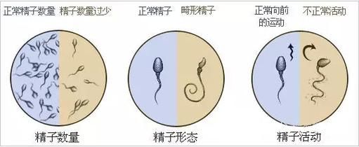 如何快速找到测量我的JING液汉化版下载资源