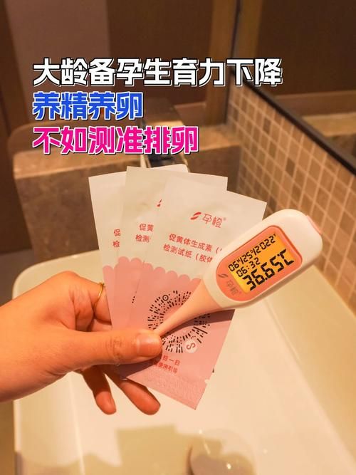 如何快速找到测量我的JING液汉化版下载资源