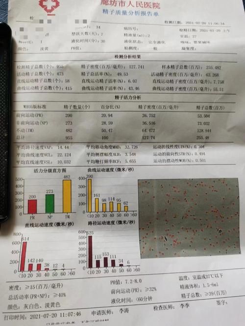 如何快速找到测量我的JING液汉化版下载资源