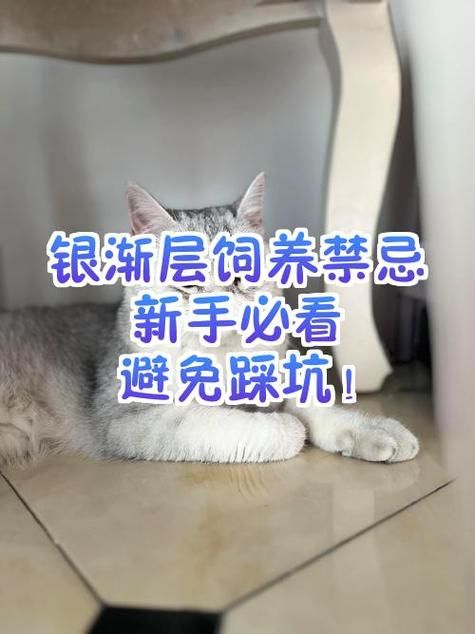如何找到禁忌激情下载地址 避免踩坑必备技巧