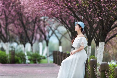 如何获取我声音的颜色更新地址最新链接