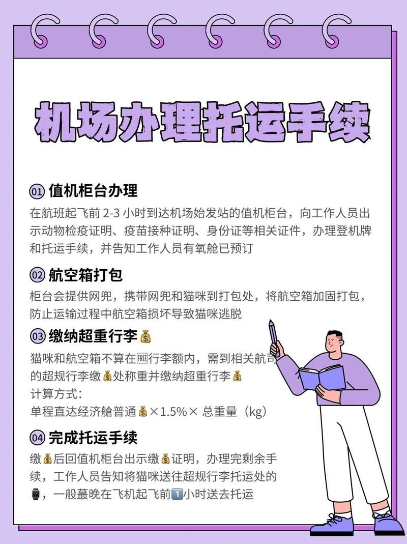 如何获取航空公司的更新地址 简单操作指南