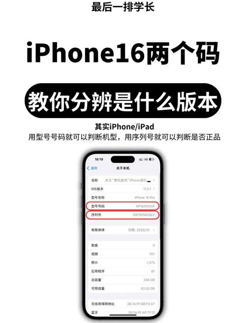 如何解决未来最新版本是多少 教你快速查看当前版本号