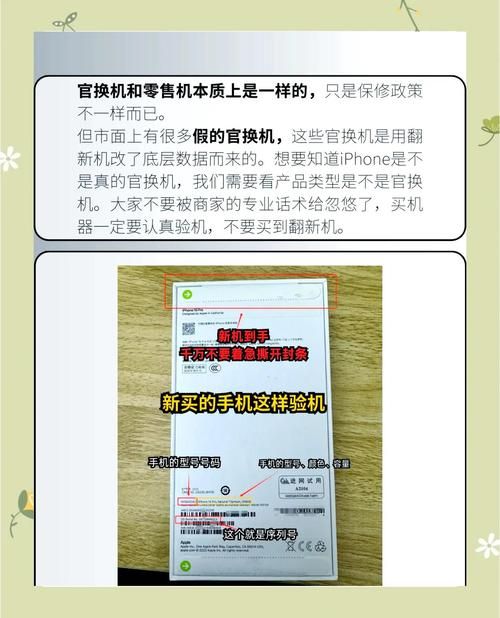 如何解决未来最新版本是多少 教你快速查看当前版本号