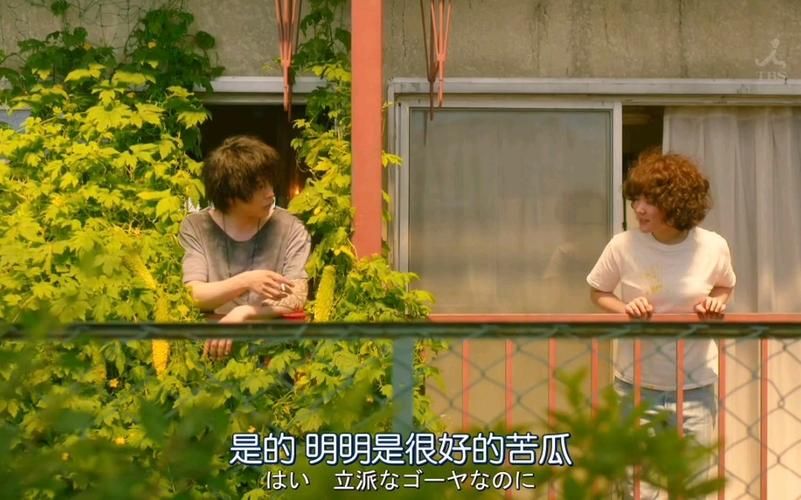 如何选择适合自己的新邻居版本大全