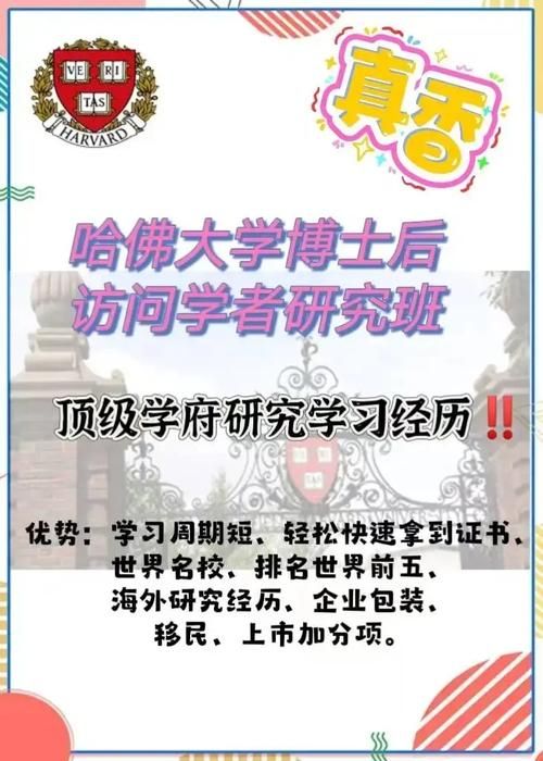 如何通过帮她恢复职业生涯官方网站找到新机会