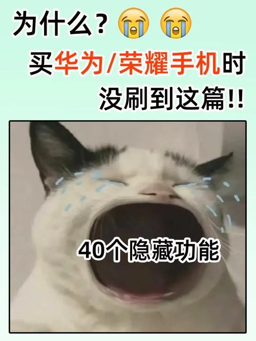 如果我可以改变安卓汉化这些技巧你一定要知道