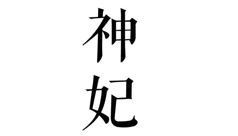 妃神会秘史最新版本角色解析与背景故事介绍