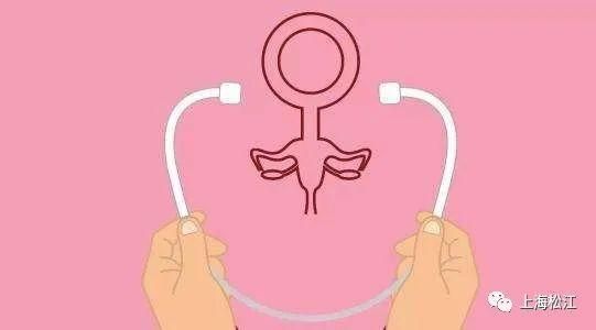 妇科医生安卓汉化版好用吗 真实用户体验分享报告