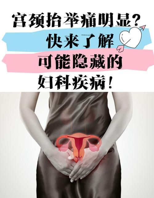 妇科医生最新版下载地址 轻松解决女性健康问题