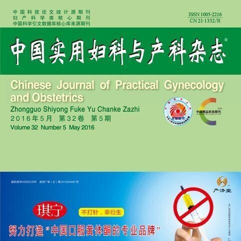 妇科医生汉化版下载 完整中文版资源分享链接