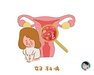 妇科医生汉化版最新更新内容详情 界面改进更易用
