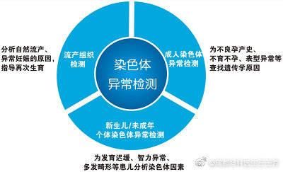 妇科医生汉化版最新更新内容详情 界面改进更易用