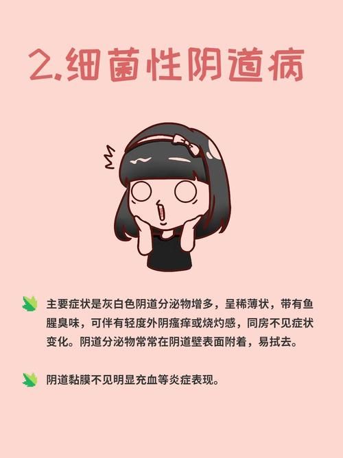 妇科医生汉化版最新更新内容详情 界面改进更易用