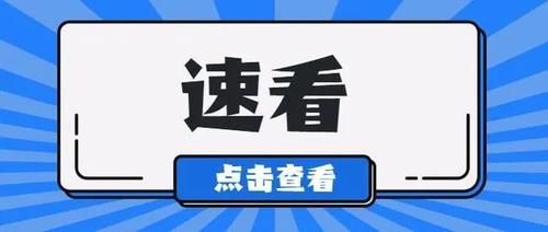 妈妈NTR更新地址分享速看最新网址入口