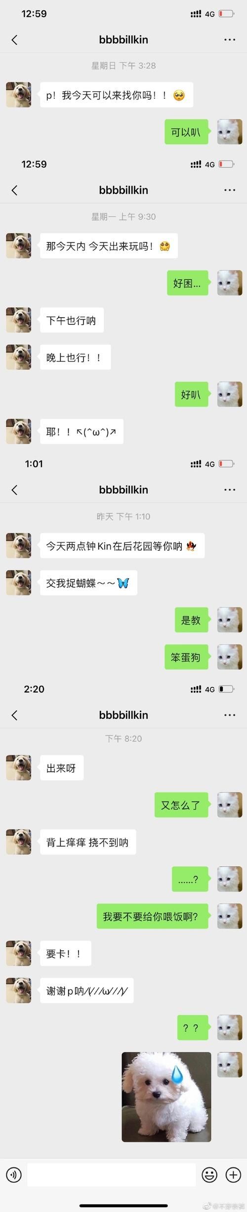 妈妈的密友亚洲版汉化版下载方法 安卓苹果都能用