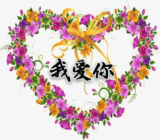 妈妈的爱Plus最新版本升级更多贴心功能等你发现