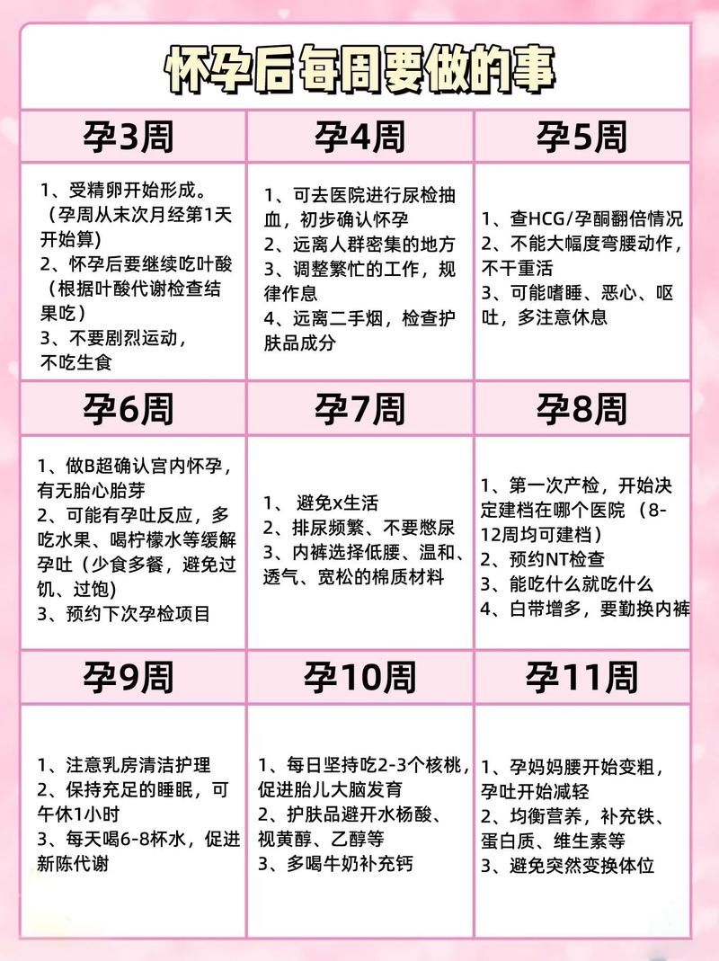 妈妈的爱官方网站提供孕期到育儿的全面指导