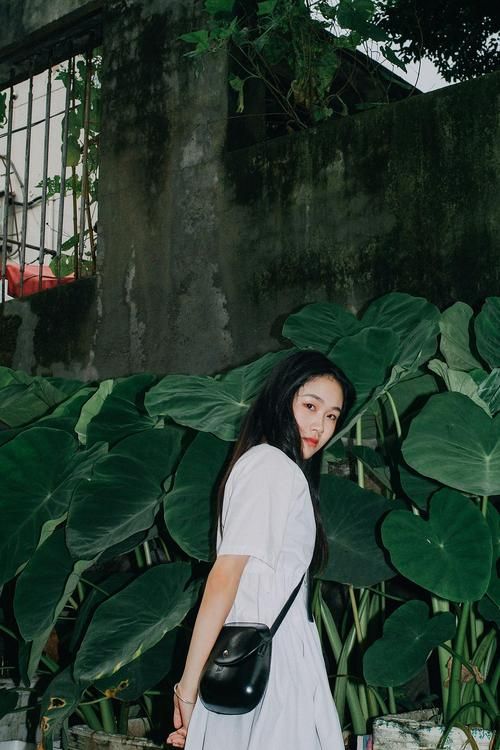 妹妹的夏日生活下载地址分享 最新资源一键获取