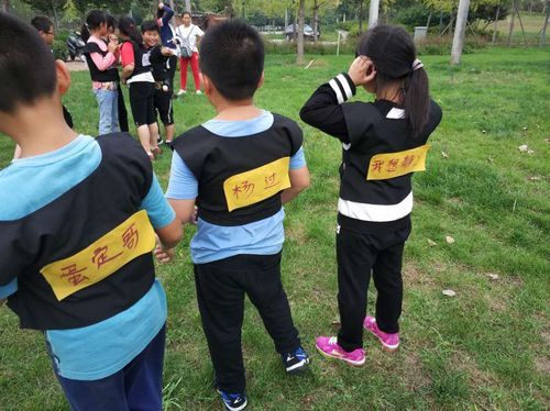 妹妹的夏日生活杨过游戏全关卡通关技巧