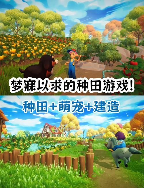 妹妹的夏日生活游戏官网下载 轻松体验治愈系田园时光