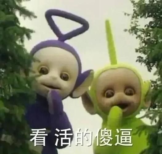 妻中密最新版本是多少 老用户必看的新功能解析