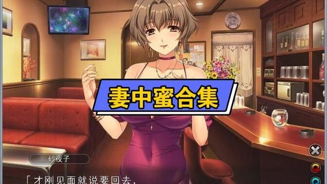 妻中密游戏下载攻略 最新版本一键获取方法