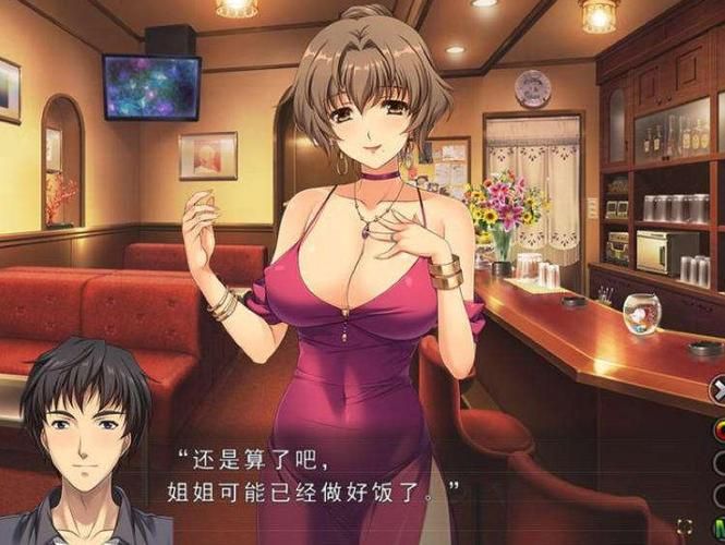 妻中密游戏攻略全解析 剧情选择与结局达成