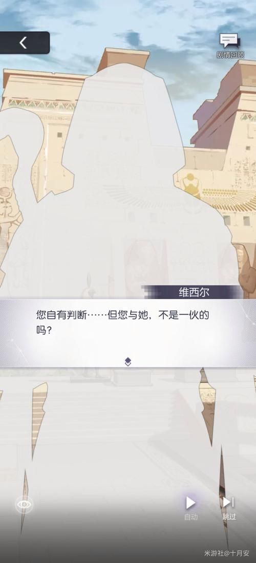 妻中密版本大全安装使用教程详解