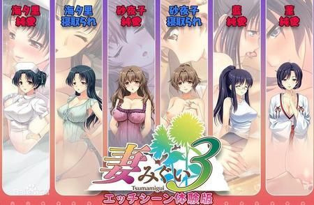 妻中密版本大全安装使用教程详解