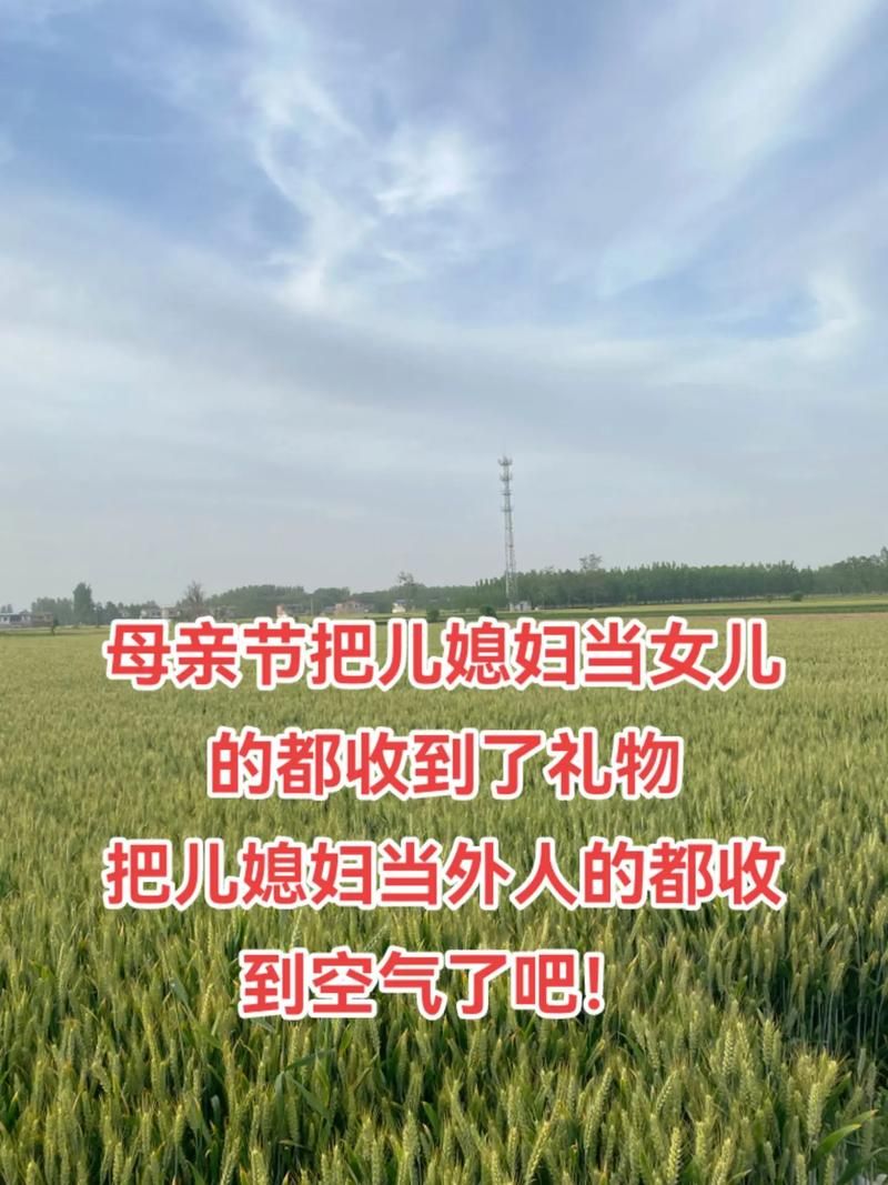 妻子与母亲P1安卓版下载安装教程分享
