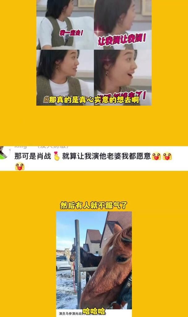 妻子与母亲如何下载软件 简单几步轻松搞定