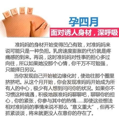 妻子与母亲安卓怎么玩 新手入门指南与技巧分享