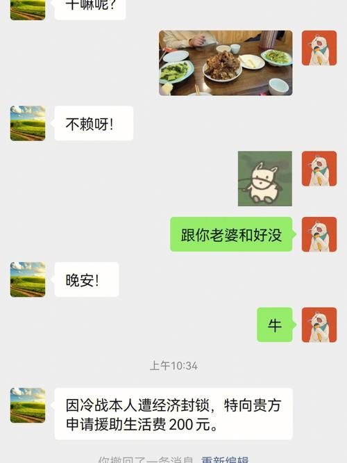 妻子与母亲安卓怎么玩 新手入门指南与技巧分享