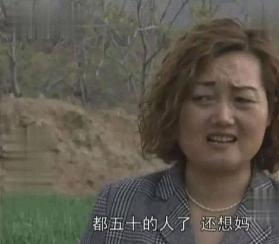 妻子与母亲安卓汉化包 最新中文版资源一键获取