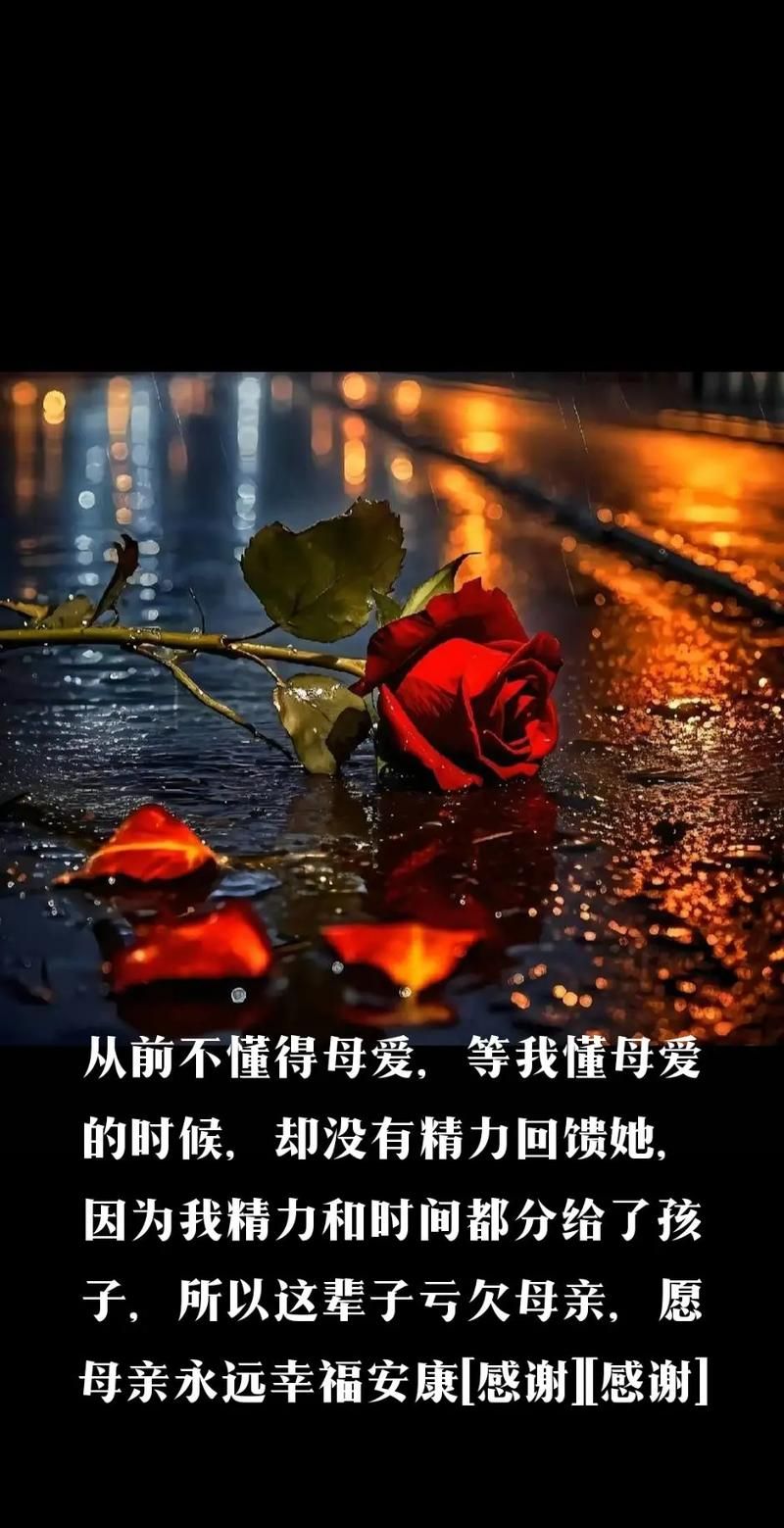 妻子与母亲官方网站产品介绍 为家庭生活添彩