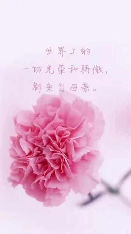 妻子与母亲版本大全剧情介绍与角色解析