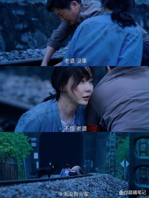 妻子历险记最新篇章开启悬念重重等你来解