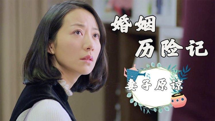 妻子历险记版本大全 新手必看版本选择指南