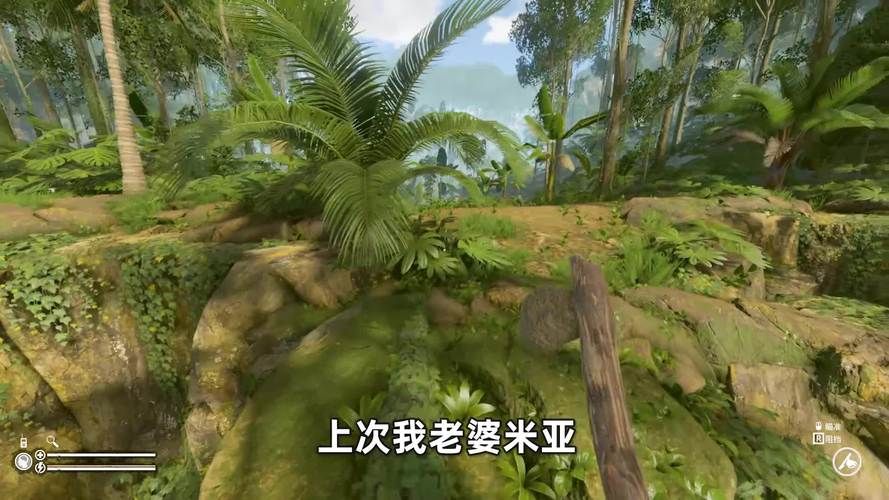 妻子历险记版本大全 新手必看版本选择指南