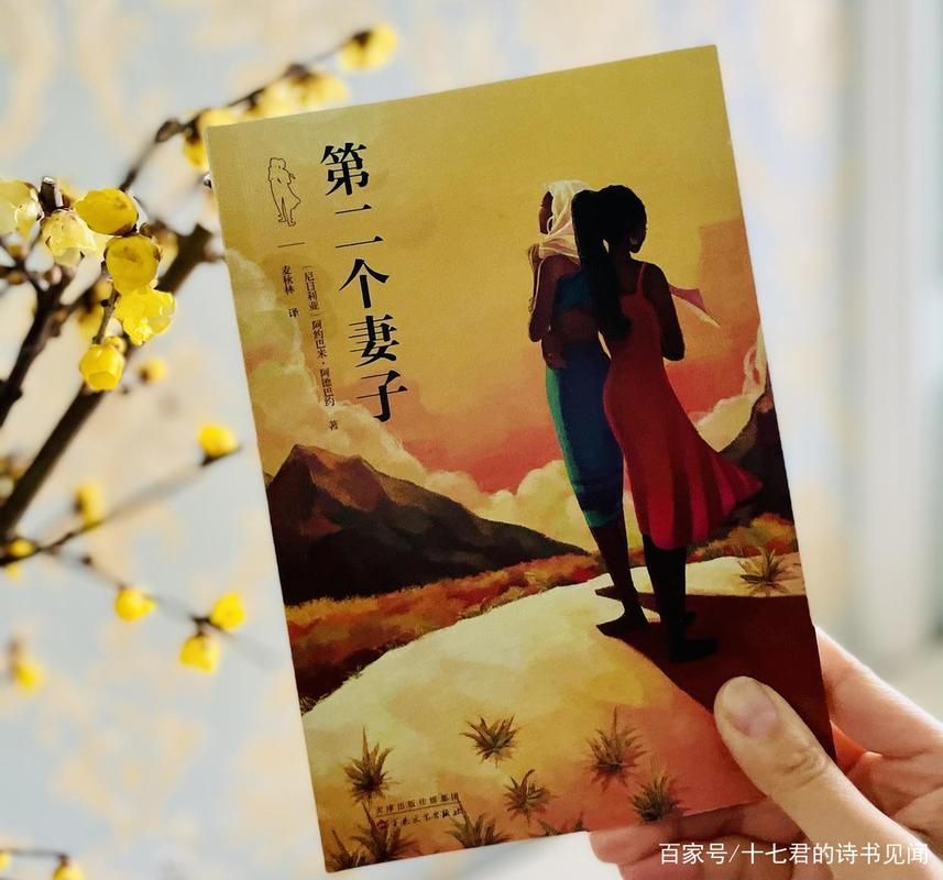 妻子的困境最新版本是多少 现在更新到第几版了