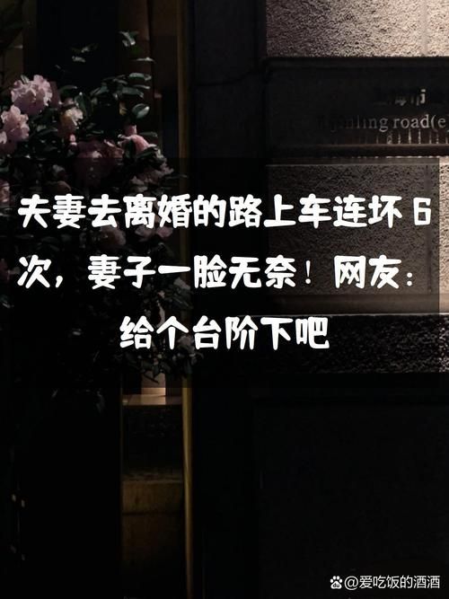 妻子的困境最新版本是多少 现在更新到第几版了