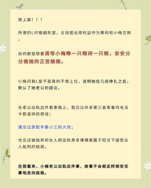 妻子的困境游戏介绍 如何破解婚姻中的难题关卡