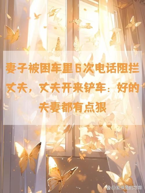 妻子的困境重温下载方法 手机电脑都能看