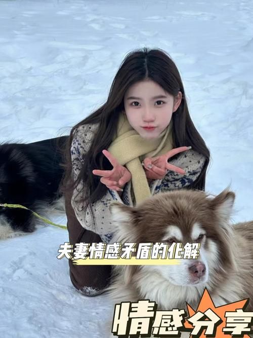 妻子的困境重温下载方法 最新地址与安装教程