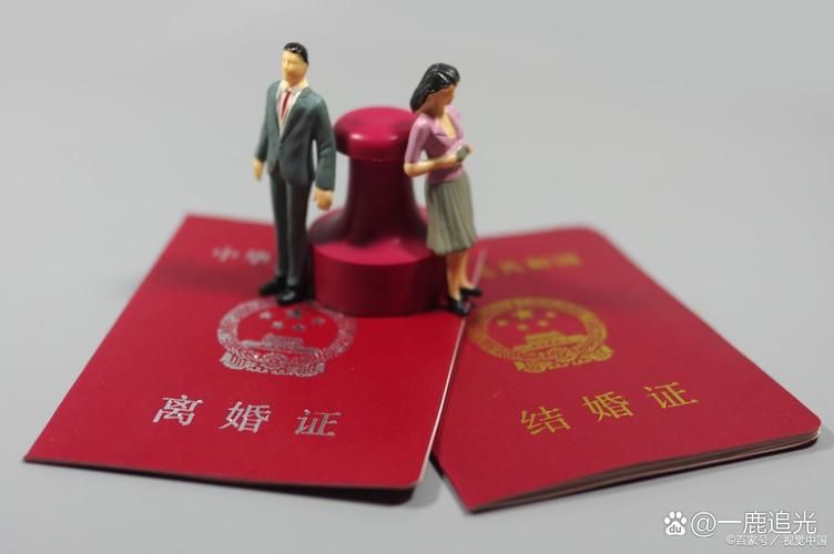妻子的困境重温版本大全 观众评价与观后感分享