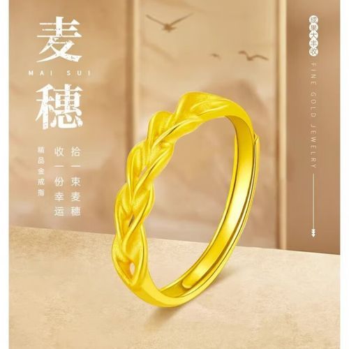 妻子的生活V0.65怎么下载 详细安装步骤解析